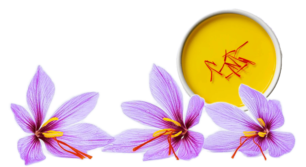 Hãy ở nhà & nhận sản phẩm từ cửa hàng chúng tôi